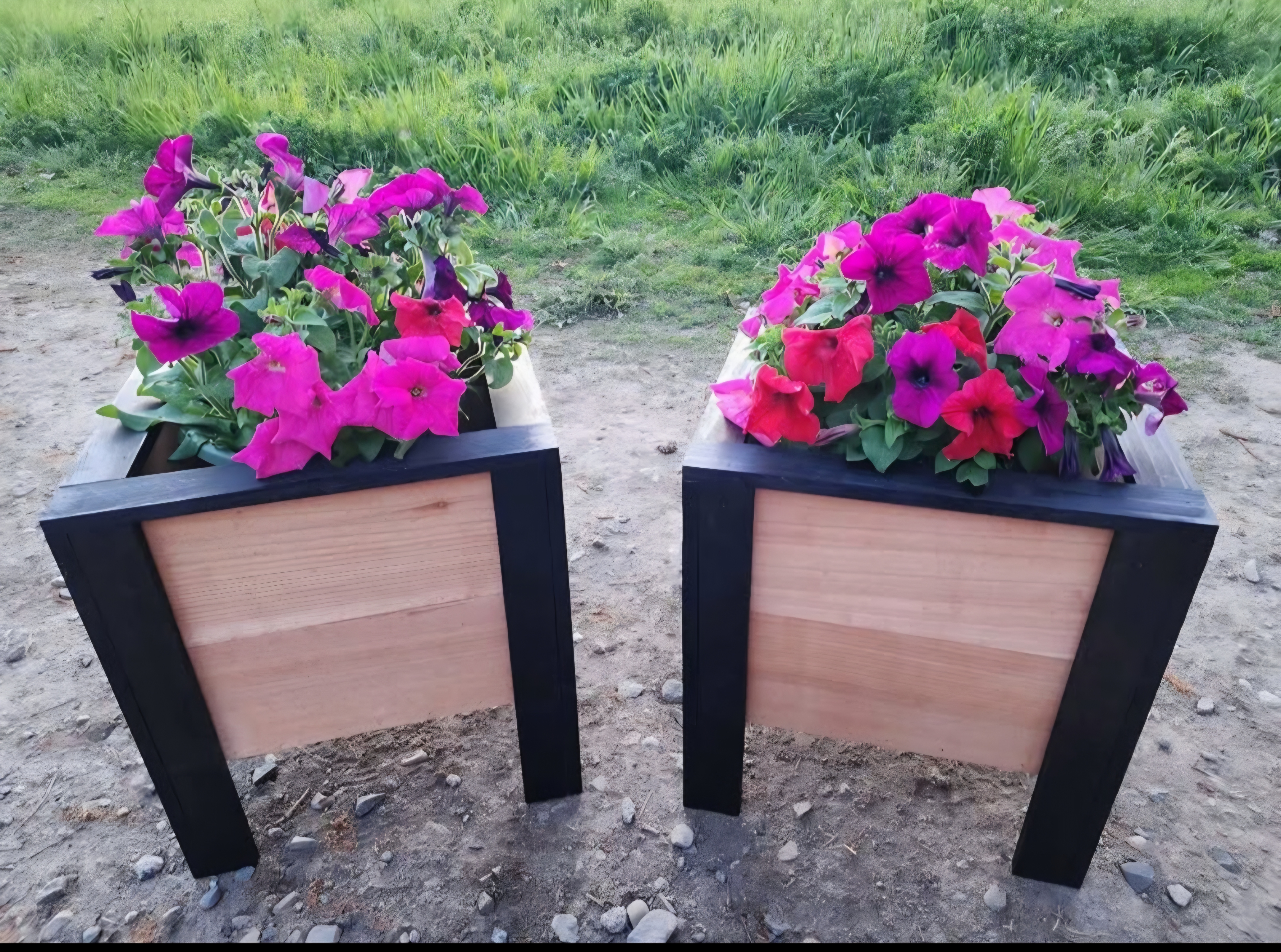 Modern Cedar Planter Box